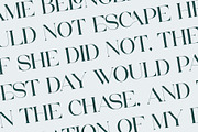 Gares - Elegant Serif Font, a Serif Font by Aqeel_Art (Thumbnail 8 of 12)