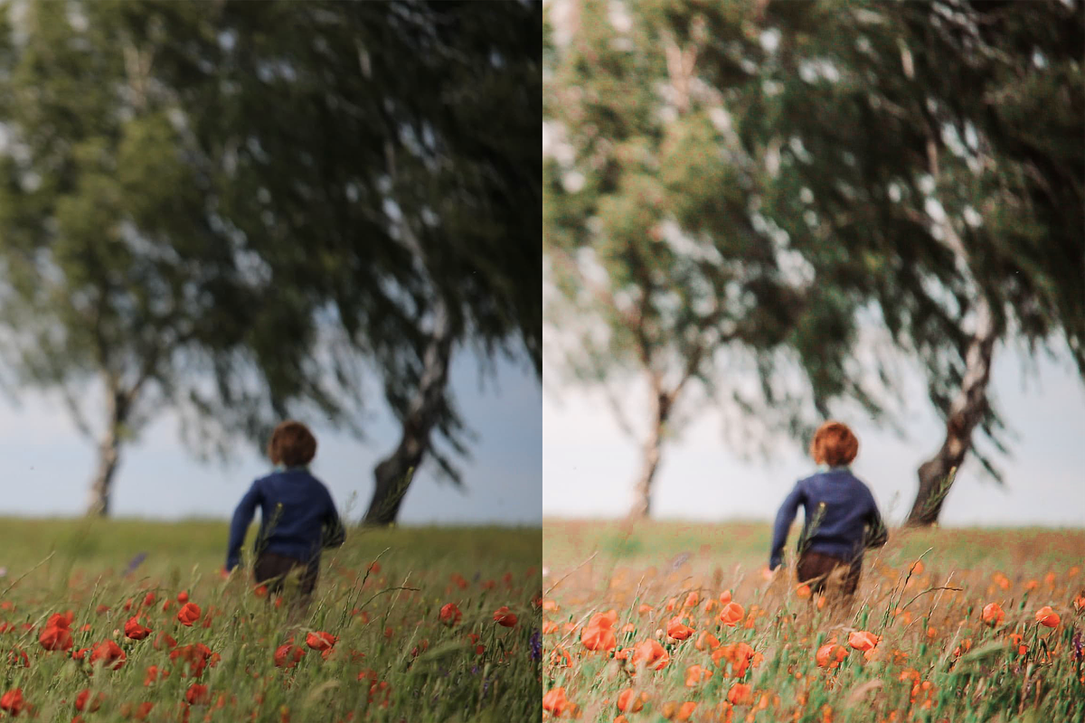 4 Spring Lightroom Presets, a Preset Add-On by AnagramDesign (Photo 3 of 7)