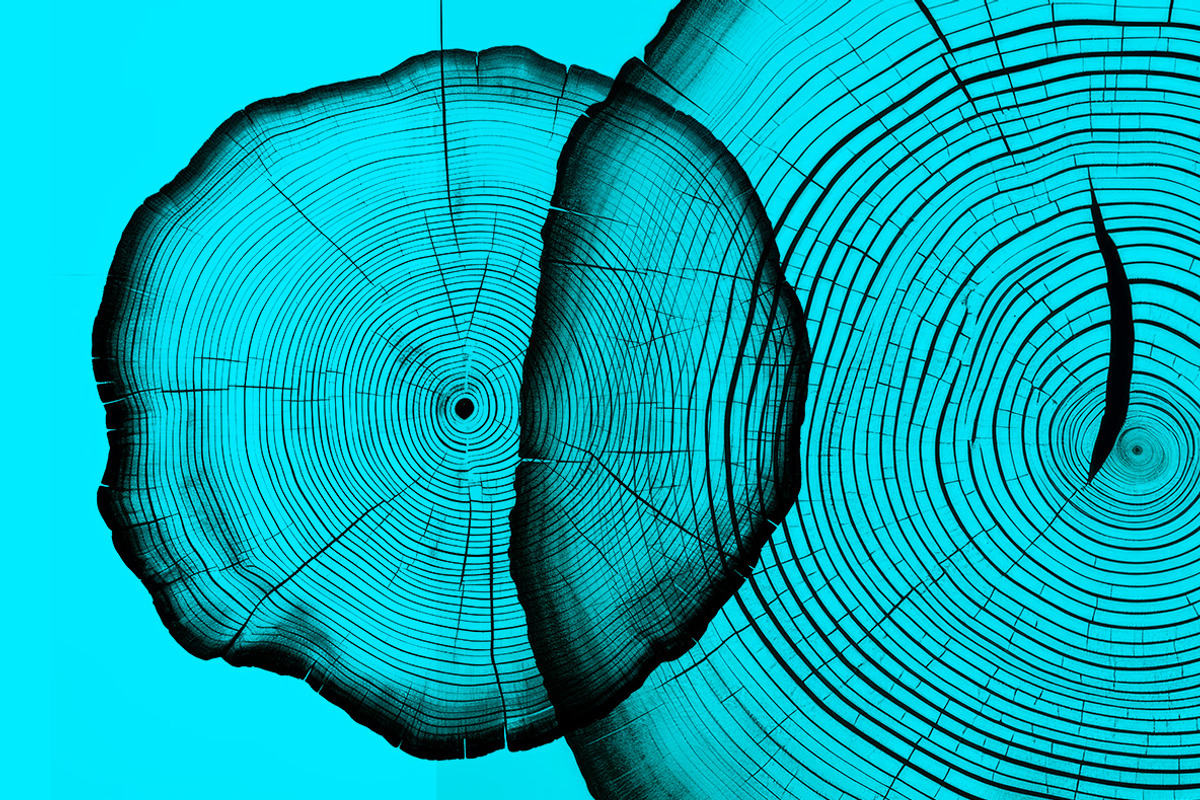 Black tree rings collection, a Decorative Illustration by Handmadefont