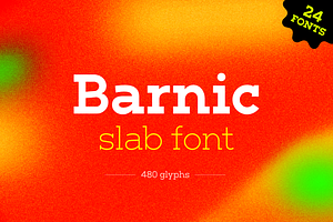 BARNIC SLAB FONT FAMILY - 24 fonts
