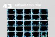 Botanical X-Ray Floral Overlays, a Texture Graphic by PhotoSpirit (Thumbnail 8 of 8)
