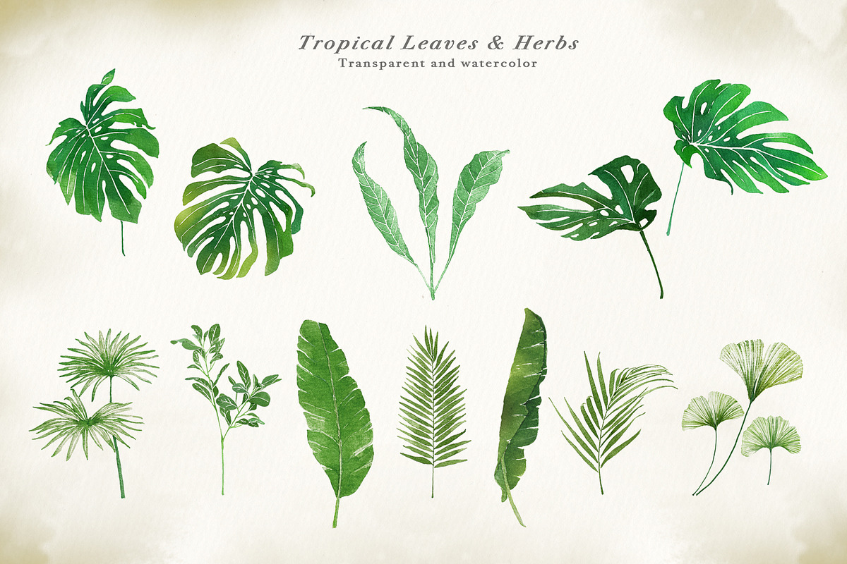Watercolor & Gold Tropical Leaves, an Object Illustration by Papatongartist (Photo 6 of 10)