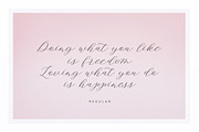 Amelina Script New Update Font Duo, a Script Font by Areatype (Thumbnail 6 of 9)
