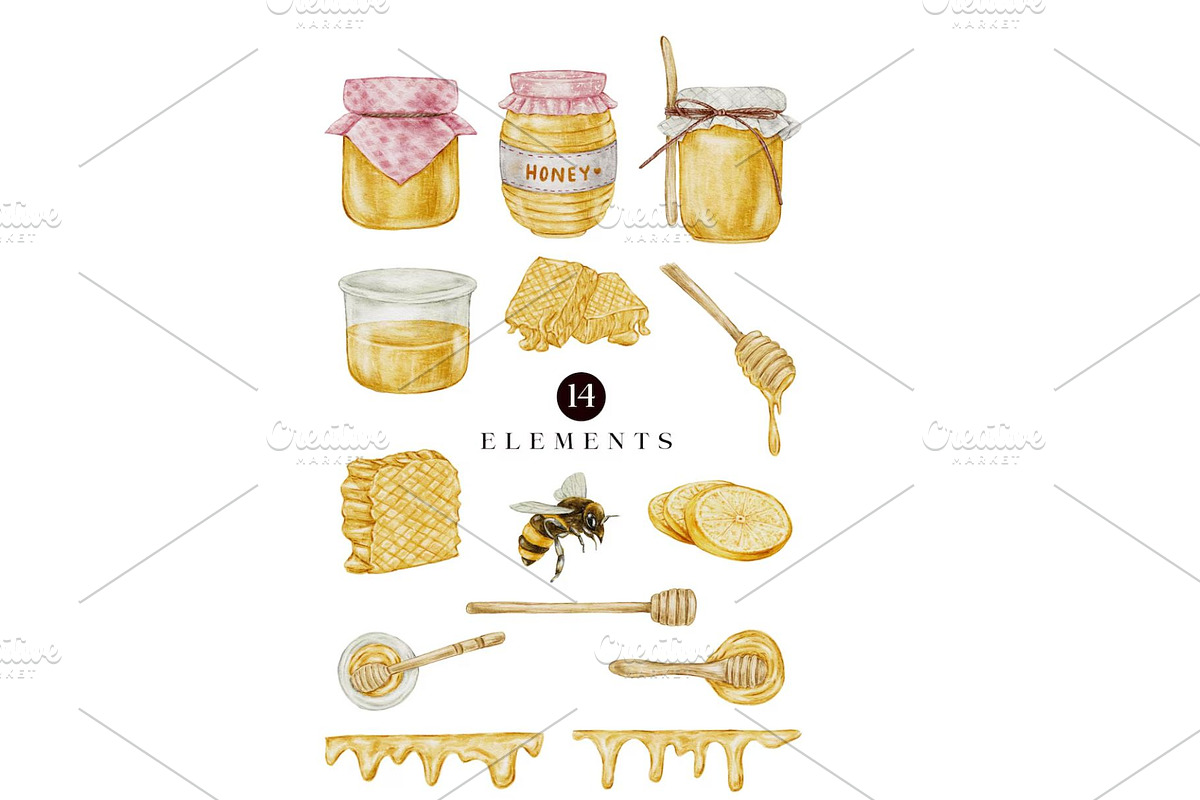 Honey Bee Watercolor Clipart, a Food Illustration by Stellalunarts (Photo 2 of 2)