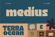 Foligio Font, a Sans Serif Font by Rasiorise Studio (Thumbnail 13 of 13)