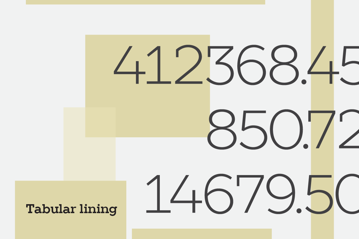 TT Slabs, a Slab Serif Font by TypeType (Photo 3 of 5)