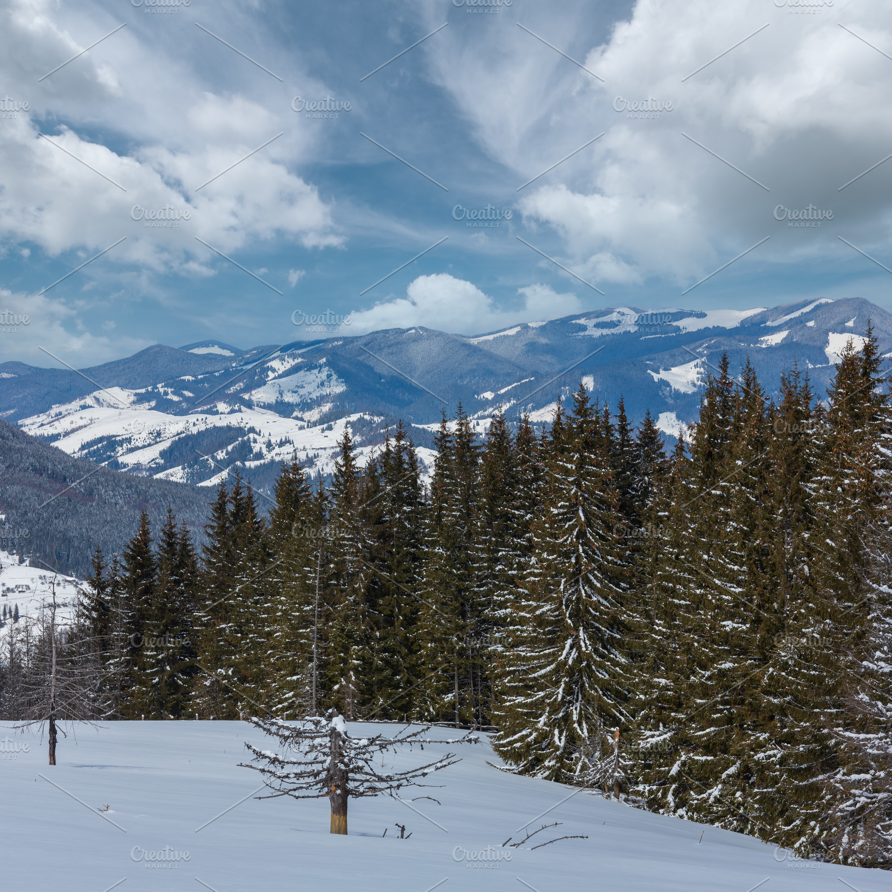 Winter snowy Carpathian mountains, Ukraine, a Nature Photo by YuriyB