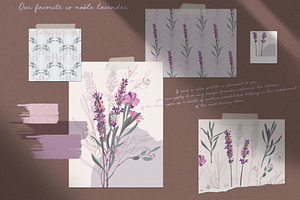 Noble Lavender