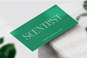 Nelhinco Modern Display Serif, a Serif Font by Letterena Studios (Thumbnail 5 of 15)