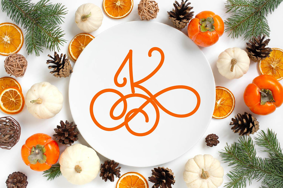 A Hairline Monogram Font preview 5