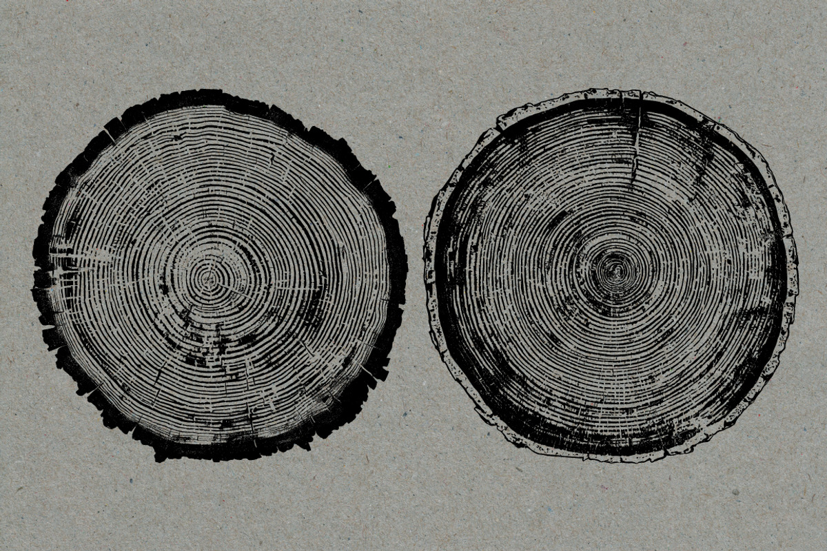 26 Large Tree Ring Textures, a Texture Graphic by Offset (Photo 2 of 16)