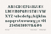 Merino Equil - Modern Serif Font, a Serif Font by Imoodev (Thumbnail 5 of 5)