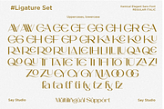 Kemical - Luxury Ligature Sans Font, a Sans Serif Font by Say Studio (Thumbnail 11 of 11)