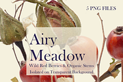 Airy Meadow — Wild Red Berries & Org, an Object Graphic by Aga Silva (Thumbnail 5 of 5)