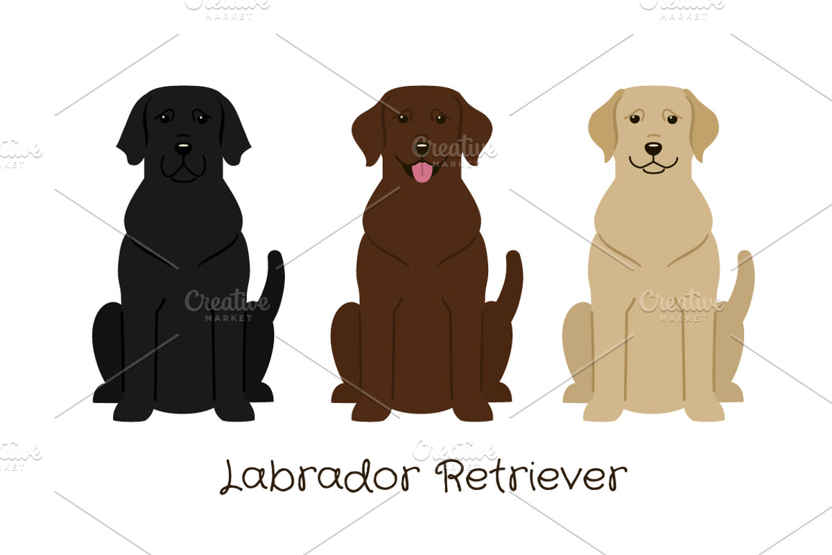 Collection of different dogs, an Illustration by Mallinka (Photo 7 of 8)
