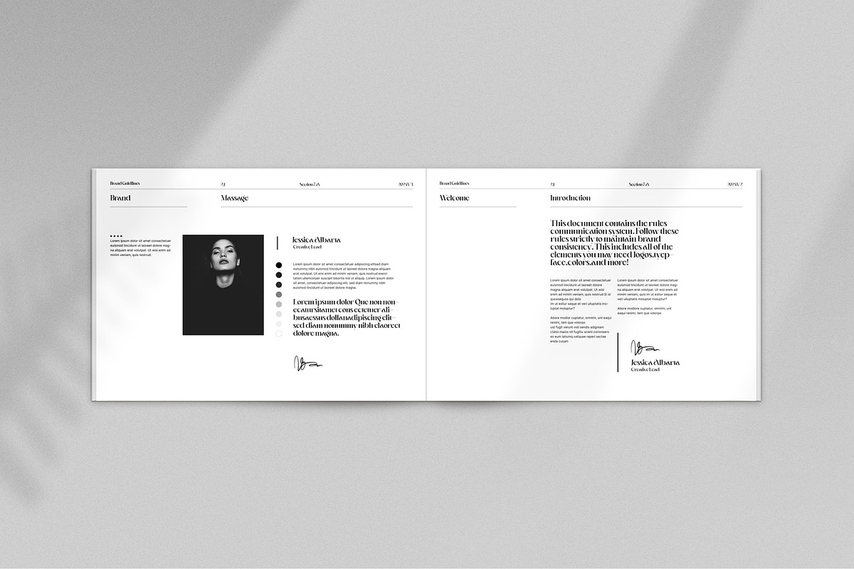 Pure Luxe-Style Guidelines, a Brochure Template by S A N D Y (Photo 2 of 11)