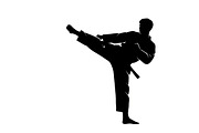 Dynamic martial arts kick silhouette, an Illustration by Amazin_art (Thumbnail 9 of 36)