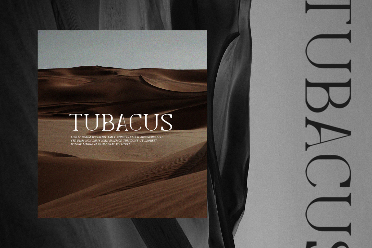 Levelly Luxury Premium Serif Font, a Serif Font by Artiveko (Photo 6 of 9)