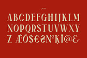 Boldness font / display serif font, a Serif Font by LETTER V studio (Thumbnail 3 of 8)