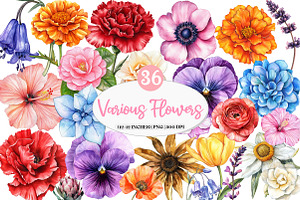 Various Flowers Clipart, an Illustration by Watercolor design