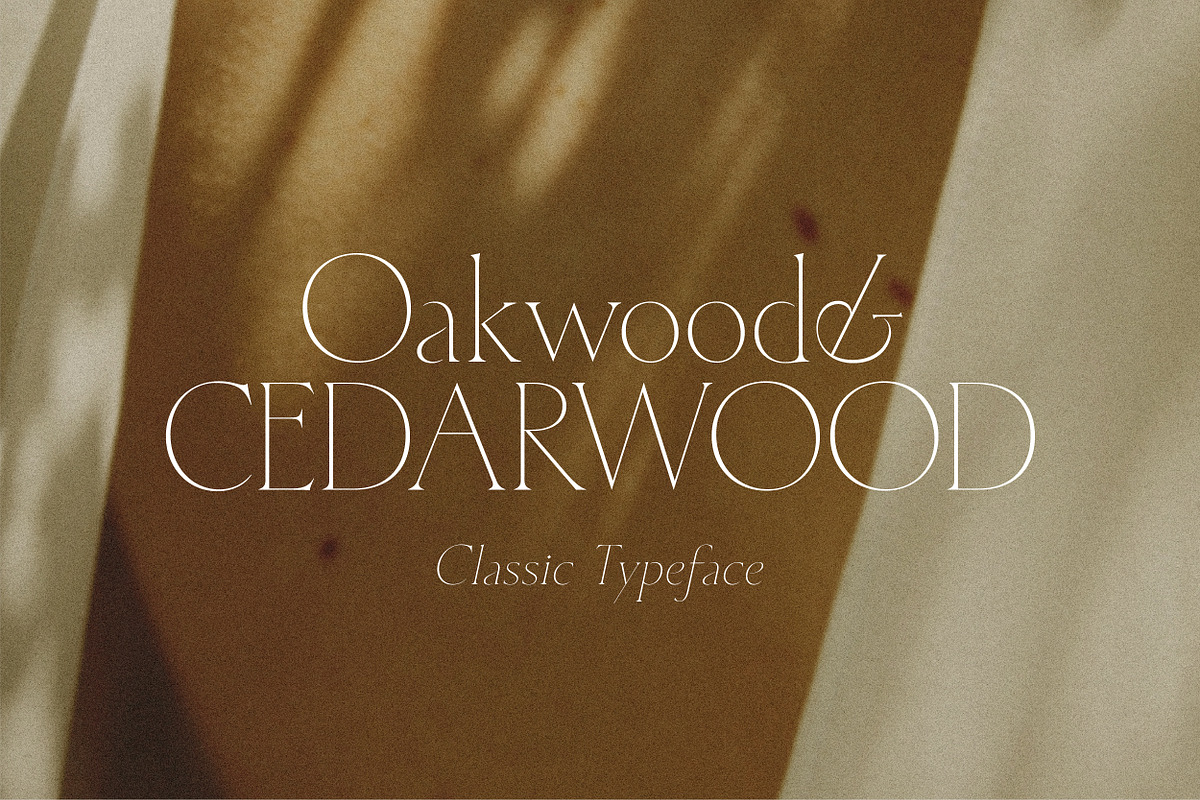 Cedarwood - Classy Serif, a Serif Font by Harmonais Visual (Photo 1 of 19)