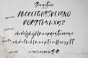 Sensation, a Script Font by Larin Type Co. (Thumbnail 10 of 10)