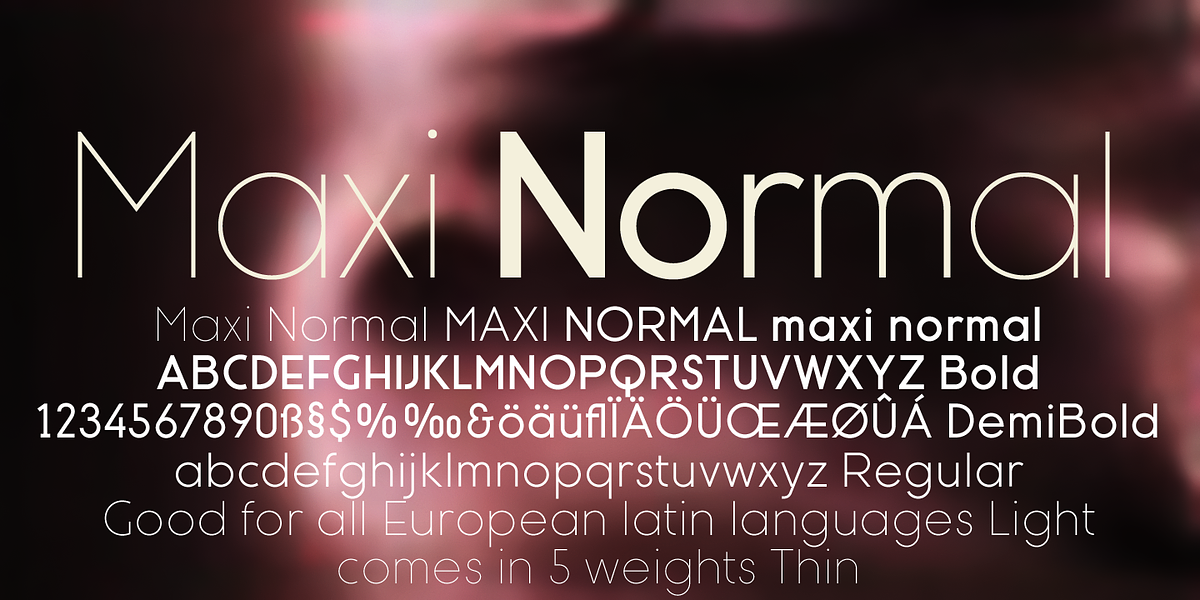 Maxi, a Sans Serif Font by Wiescher-Design (Photo 2 of 7)