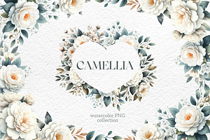 Camellia Boho