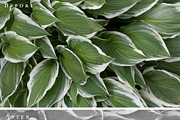 Blind Tilt Photoshop Action, an Action Add-On by The Roark Division (Thumbnail 3 of 4)