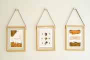 Autumn abstract collection, an Object Graphic by DariSmartArt (Thumbnail 3 of 16)