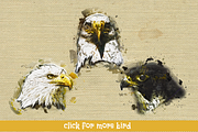 Bird Head Pencil & Watercolor vol 2, an Animal Illustration by Sahade Studio (Thumbnail 3 of 3)