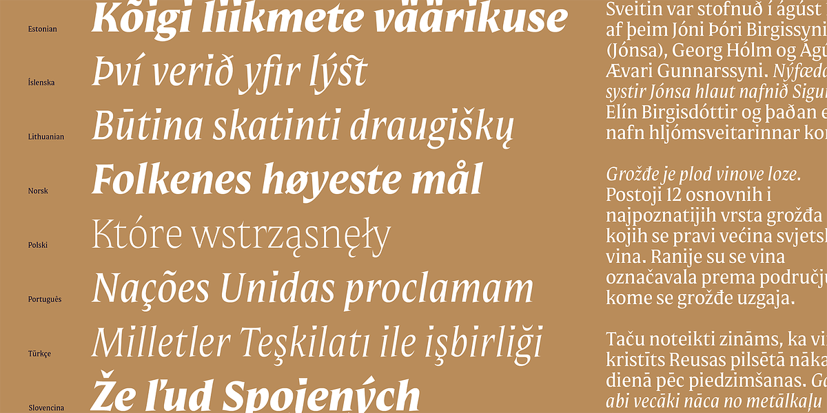 Mestiza, a Serif Font by Lechuga Type (Photo 8 of 16)