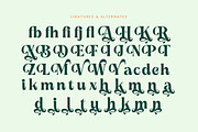 Myngo Bakery Modern Serif Font, a Serif Font by timelesstype.co (Thumbnail 18 of 20)
