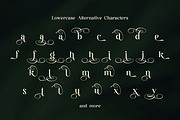 Ladya | Serif Display Font, a Serif Font by Ekahermawan (Thumbnail 11 of 15)