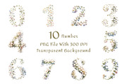 Baby's Breath Watercolor Clipart, a Decorative Illustration by ForhadGFX (Thumbnail 12 of 14)