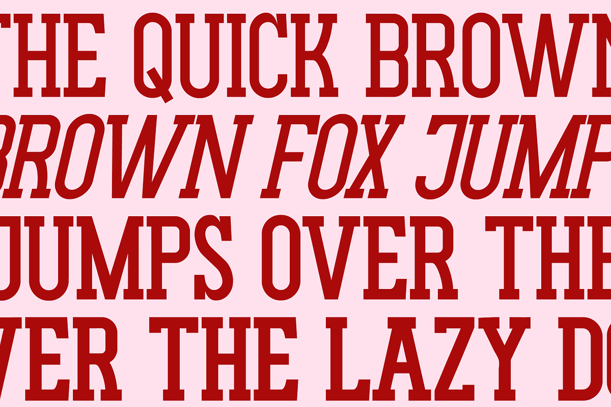 Gluttoner Vintage & Bold Slab Serif, a Serif Font by Lettertype Studio (Photo 9 of 15)
