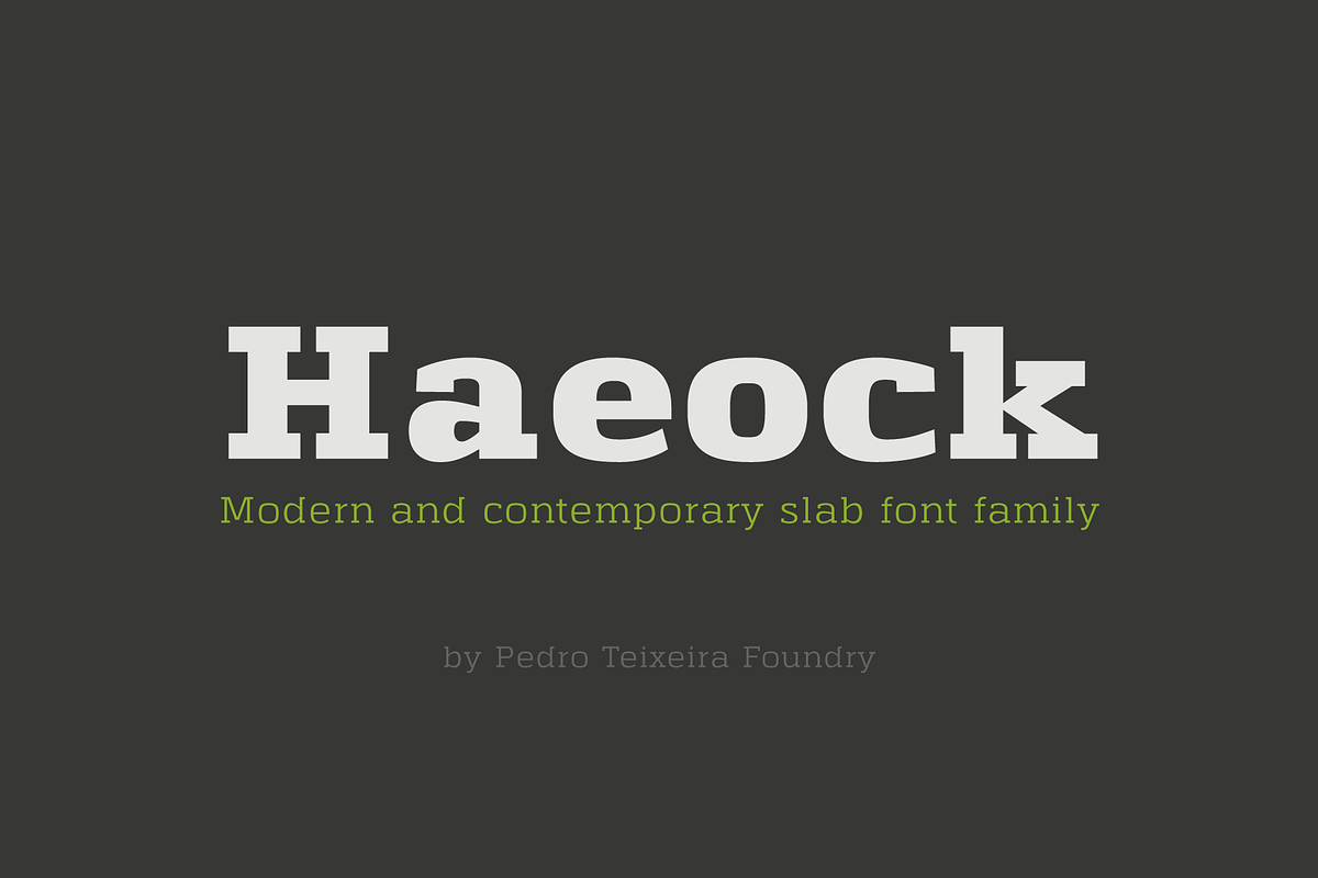 Haeock Family, a Slab Serif Font by vectalex (Photo 1 of 6)