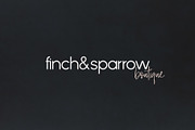 Phoenix | A Multi-Weight Sans, a Sans Serif Font by Jen Wagner Co (Thumbnail 12 of 13)