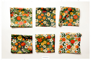 Clementine Botanical Collection