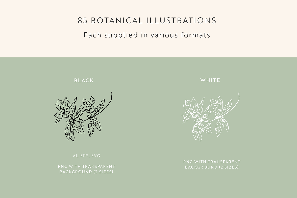 Greenery Sketchbook Illustrations, a Decorative Illustration by Emma Webb Studio (Photo 5 of 7)