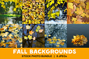 Fall backgrounds featuring colorful, color, and design, a Nature Photo by Fruits+Veggies (Thumbnail 1 of 5)