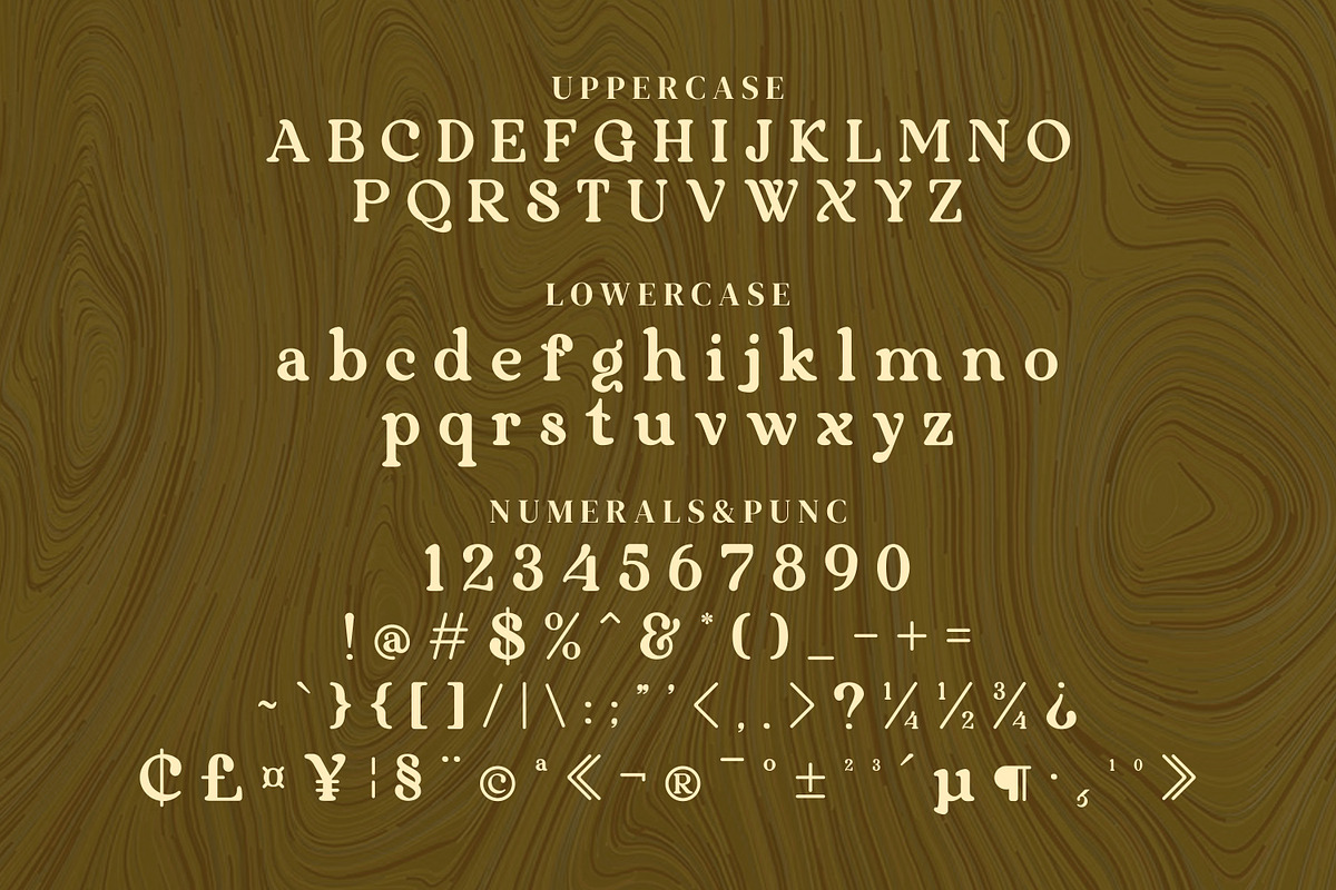 Kabytag Serif Fonts, a Serif Font by mahstudios (Photo 11 of 14)