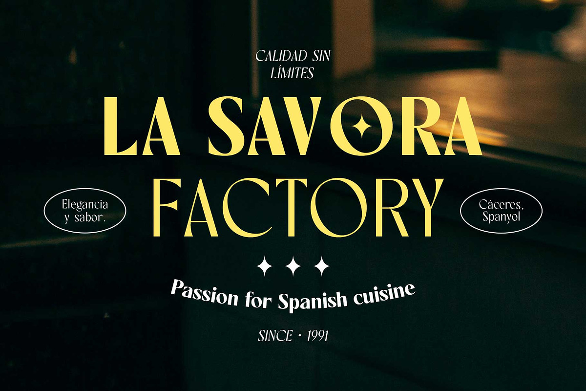 Rovaney - Fancy Font Family, a Serif Font by Arterfak Project (Photo 14 of 15)