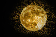 Gold Splash - Photoshop Action, an Action Add-On by Lightdesigns (Thumbnail 5 of 5)