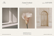 Calm Earthy Stock Images Bundle, a Beauty & Fashion Photo by Make Stories Studio (Thumbnail 11 of 14)
