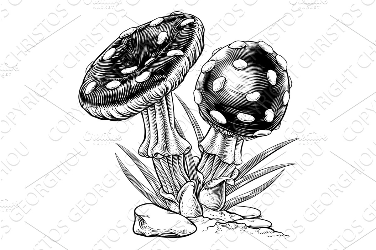 Mushrooms Toadstools Vintage, an Illustration by Christos Georghiou
