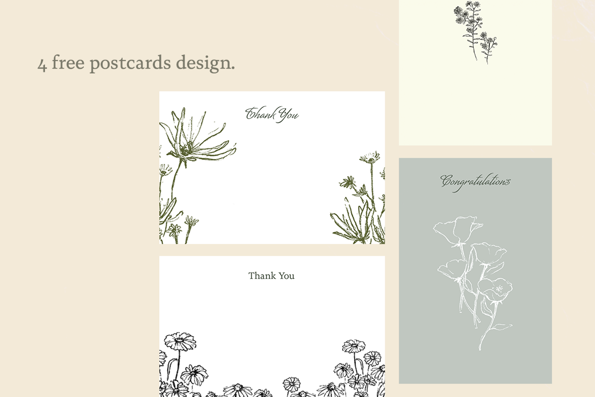 Sketchy Pencil Drawing Wildflowers, an Illustration by elpple (Photo 7 of 7)