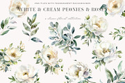 White and Cream Peonies and Roses, a Decorative Illustration by Twigs and Twine (Thumbnail 2 of 6)