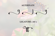 Butterfly | Script Font, a Handwritten Font by Scratchones (Thumbnail 8 of 9)