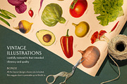 80 Fruits & Vegetables, an Object Graphic by The Object Atlas (Thumbnail 2 of 10)